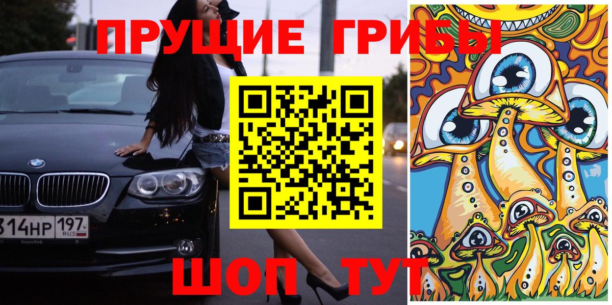 Псилоцибиновые грибы Psilocybine cubensis Ухта