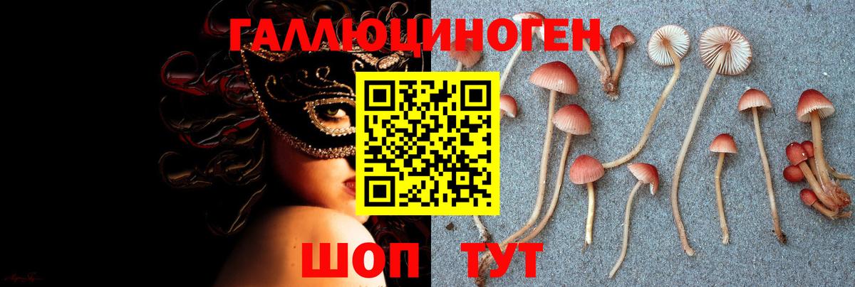 Галлюциногенные грибы Magic Shrooms  Вход с VPN  Ухта 